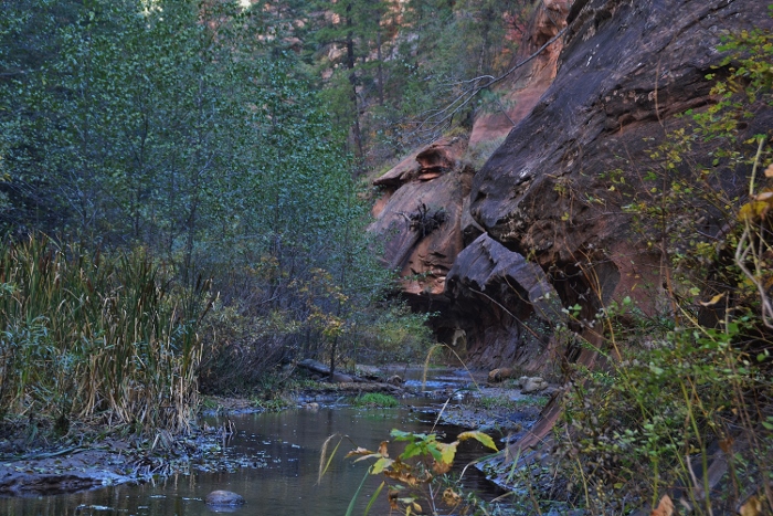 Oak Creek Canyon